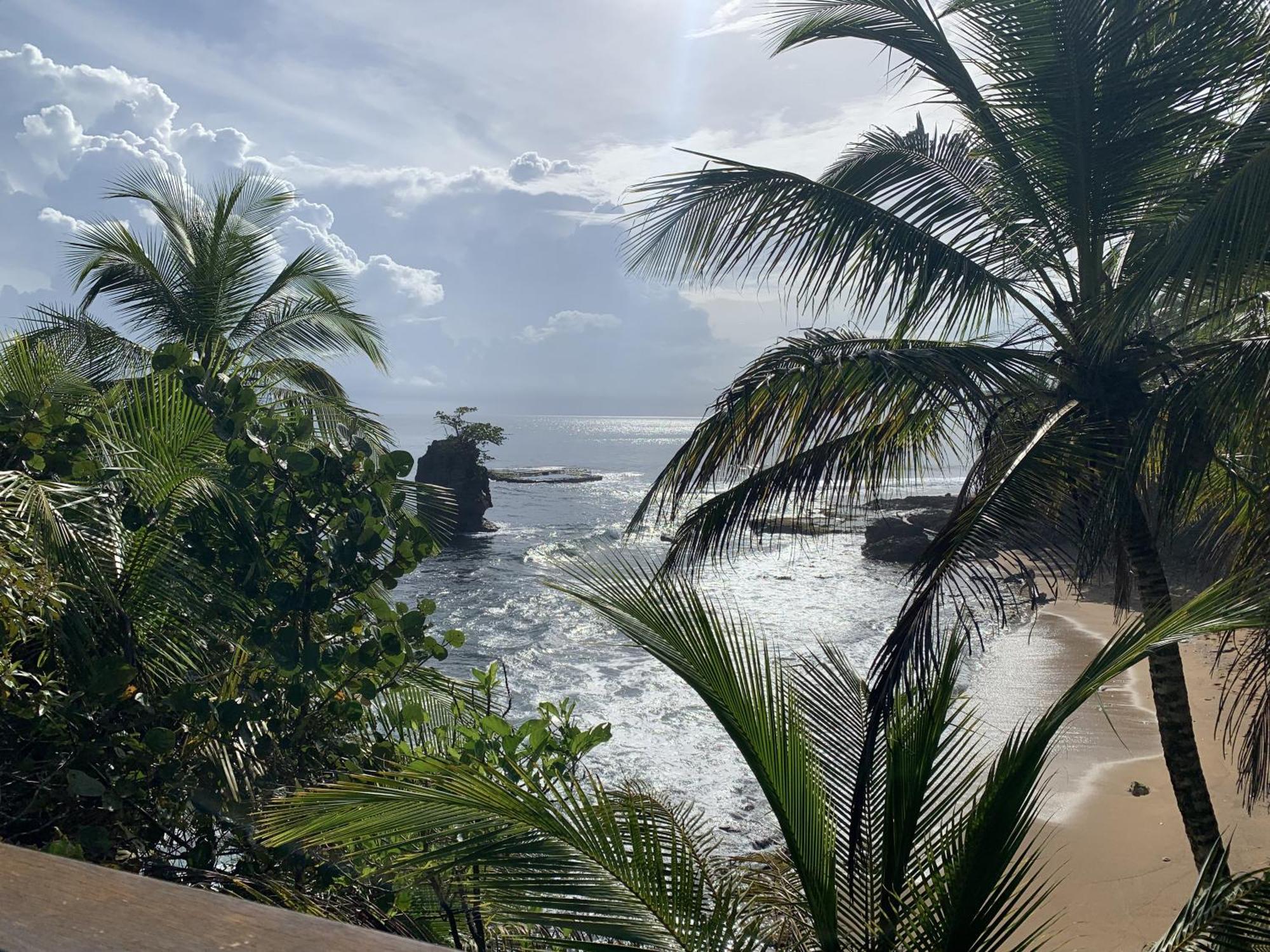 Casa Blanca Beachfront House With Shared Pool Access Pangea Lodge Manzanillo  Zewnętrze zdjęcie